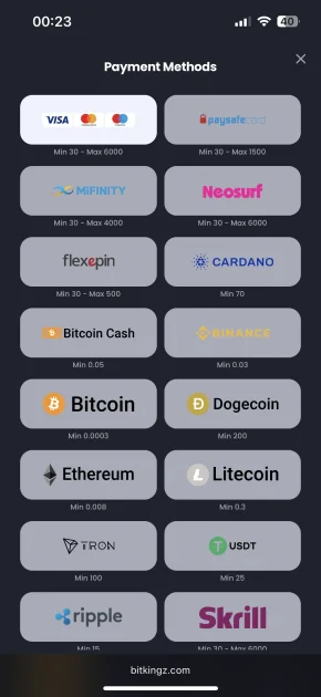 bitkingz casino payment