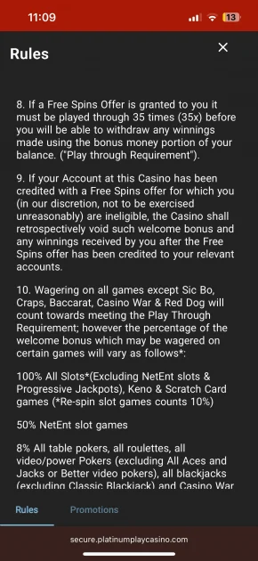 platinum play casino rules