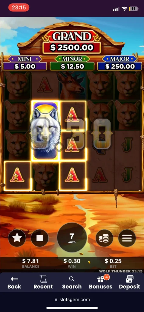 SlotsGem Casino Game