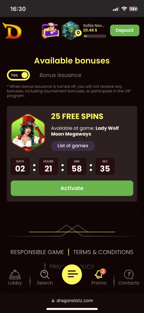 DragonSlots casino bonus