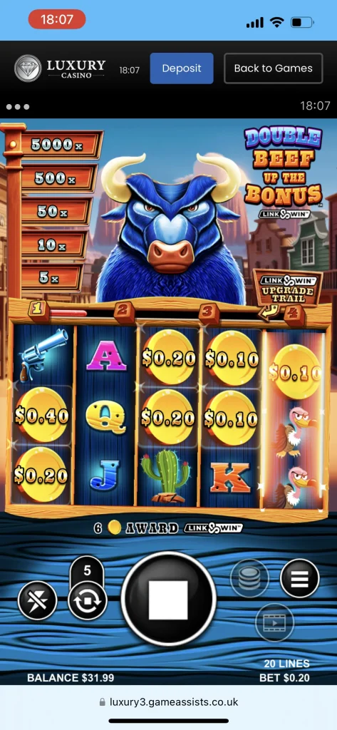 Luxury Casino Game
