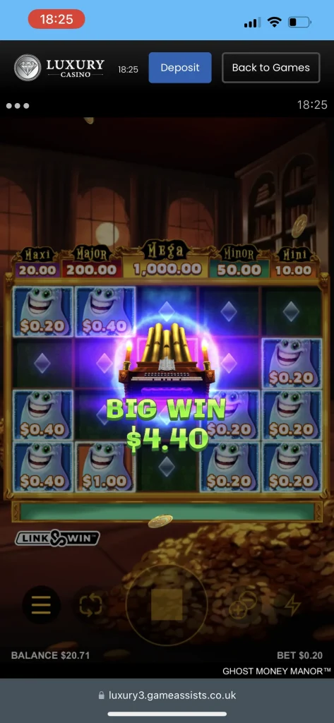 Luxury Casino Game