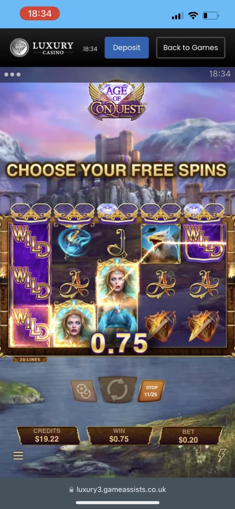 Luxury Casino Game