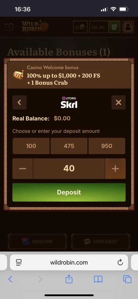 Wild Robin Casino payment