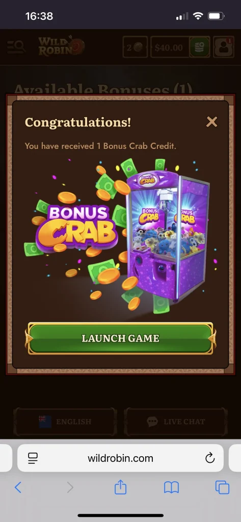 Wild Robin Casino Bonus