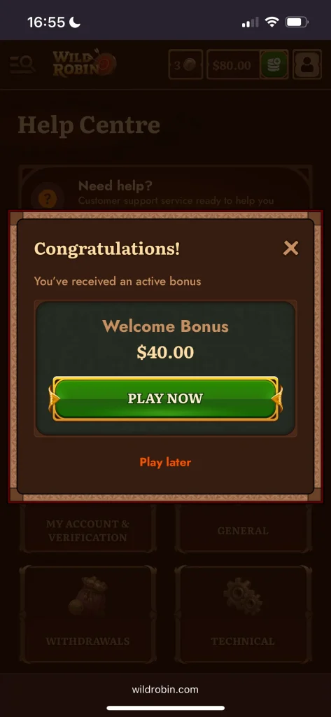 Wild Robin Casino game
