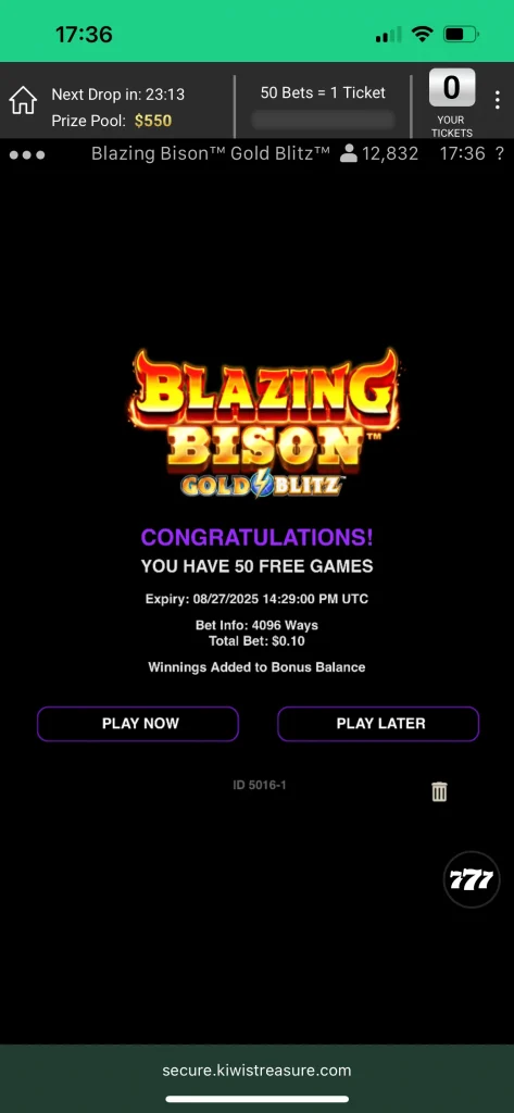 Kiwi's Treasure Casino Game