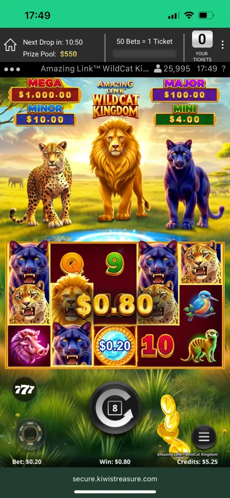 Kiwi's Treasure Casino Game