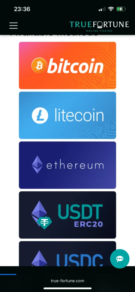 True Fortune Casino Payment