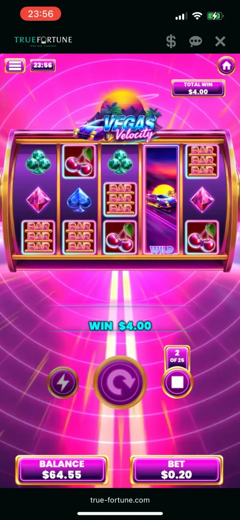 True Fortune Casino Game