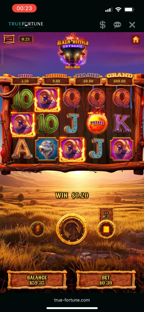 True Fortune Casino Game