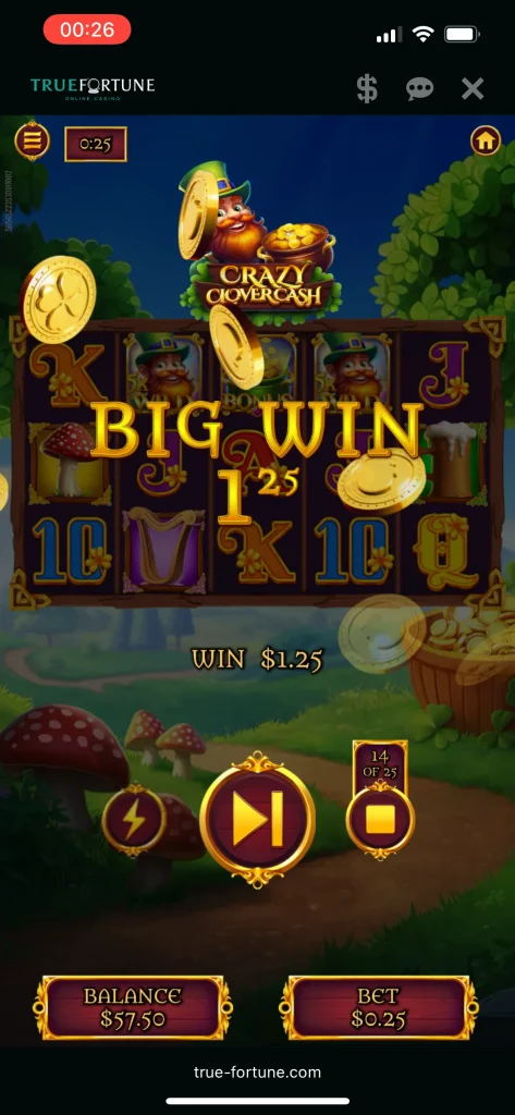 True Fortune Casino Game