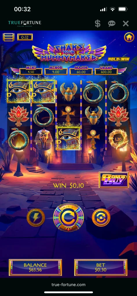 True Fortune Casino Game