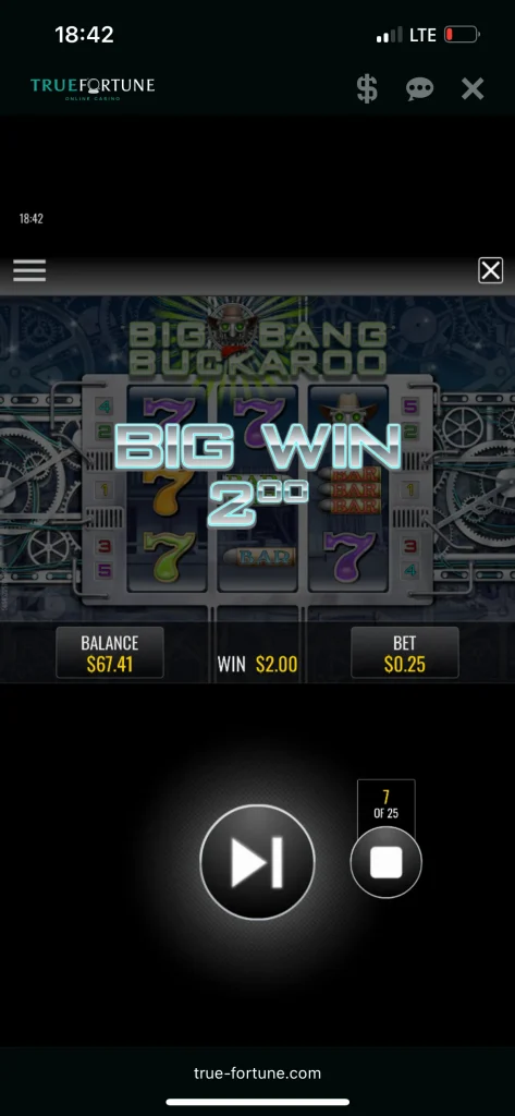 True Fortune Casino Game