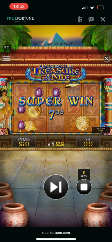 True Fortune Casino Game