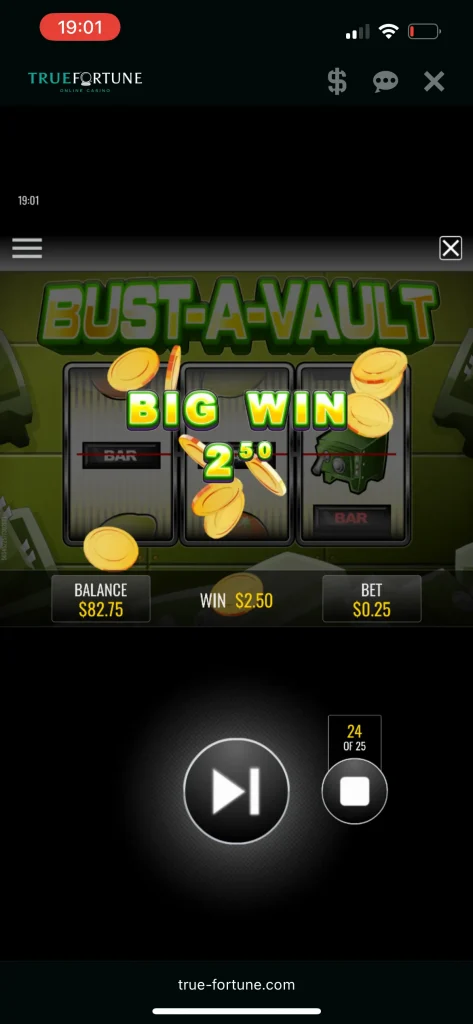 True Fortune Casino Game