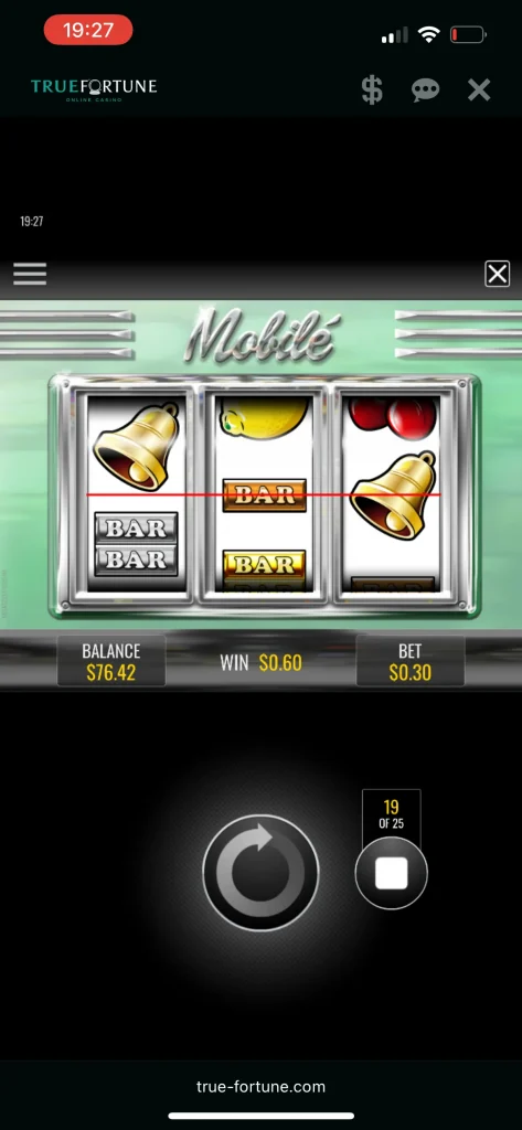 True Fortune Casino Game