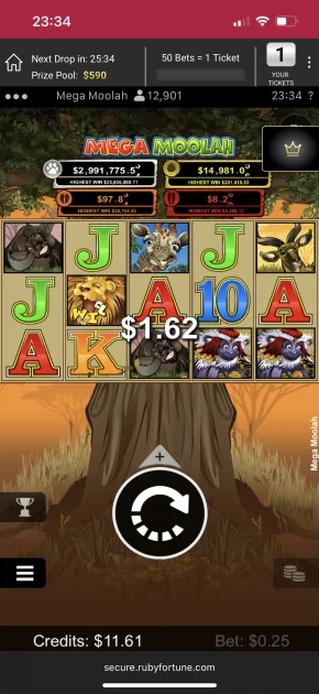 ruby fortune casino game