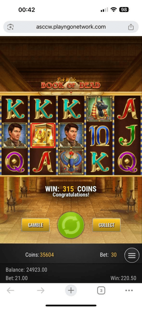 Book of Dead Pokie Review screenshot