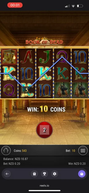 Reels.io casino game