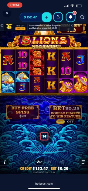 BetBeast Casino game