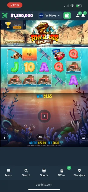 Duelbits Casino Game