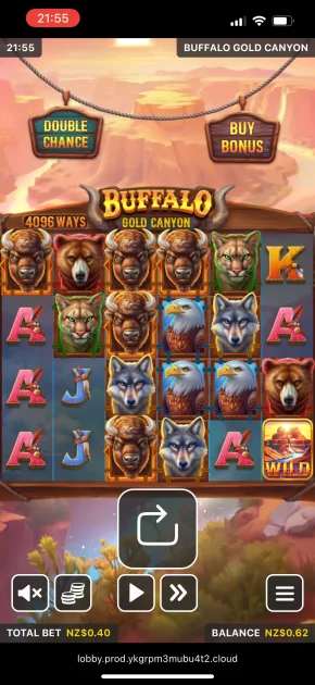 Duelbits Casino Game