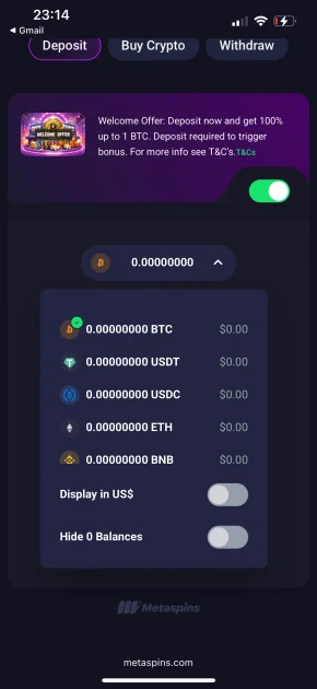 MetaSpins Casino deposit