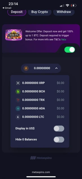 MetaSpins Casino payment