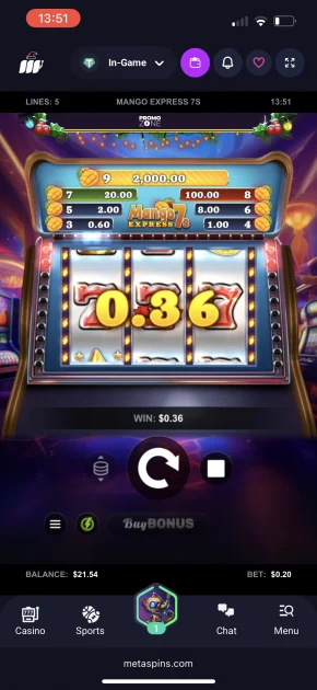 MetaSpins Casino Game